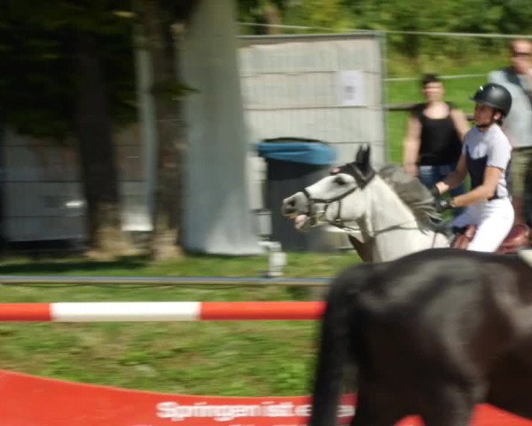 Reitturnier Oberderdingen 2023