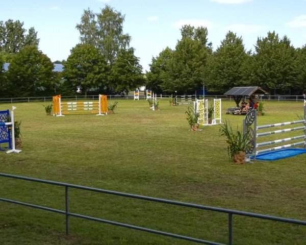 Reitturnier Woldegk 2023