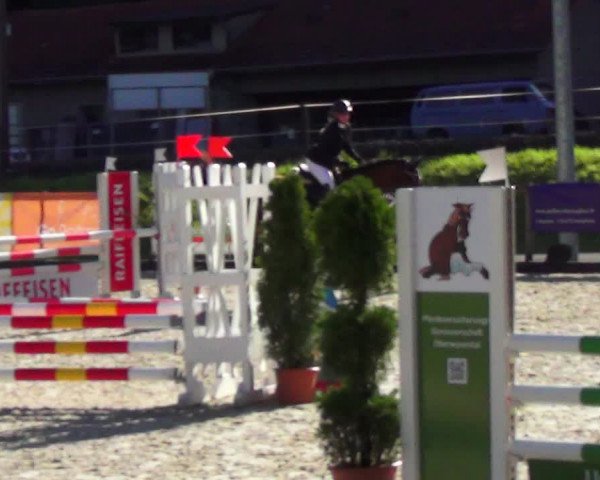 Reitturnier Schüpfheim 2023