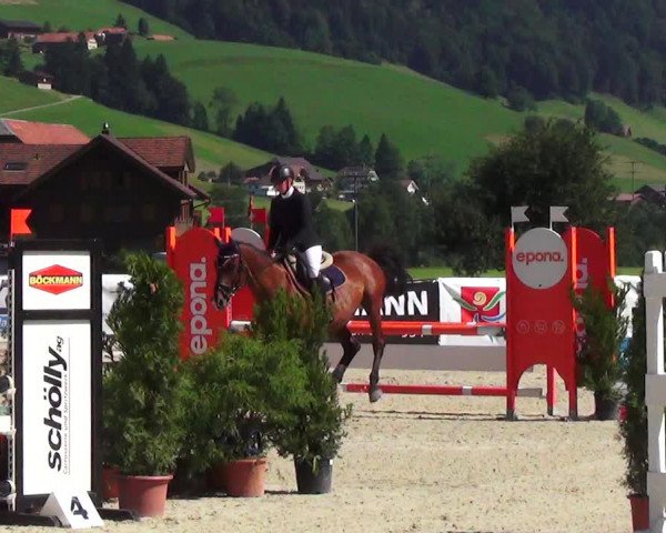 Reitturnier Schüpfheim 2023