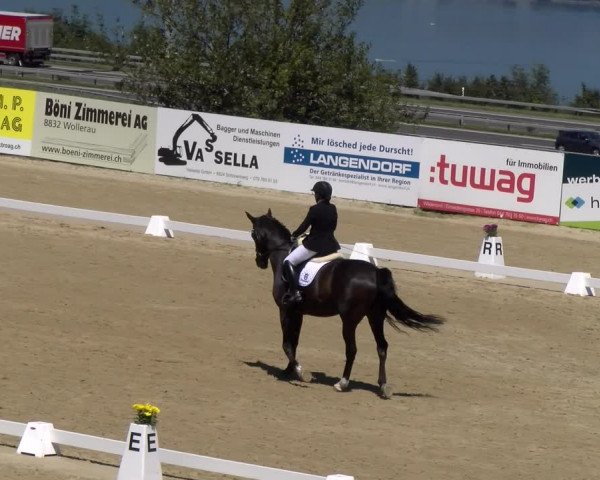 Reitturnier Wädenswil 2023