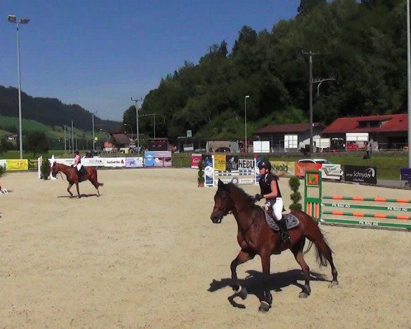 Reitturnier Schüpfheim 2023
