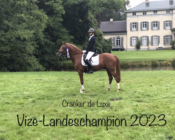 dressage horse Cracker de Luxe (German Riding Pony, 2020, from Cooper County WE)