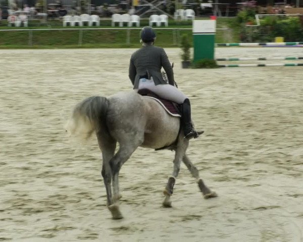 Reitturnier Oberderdingen 2023
