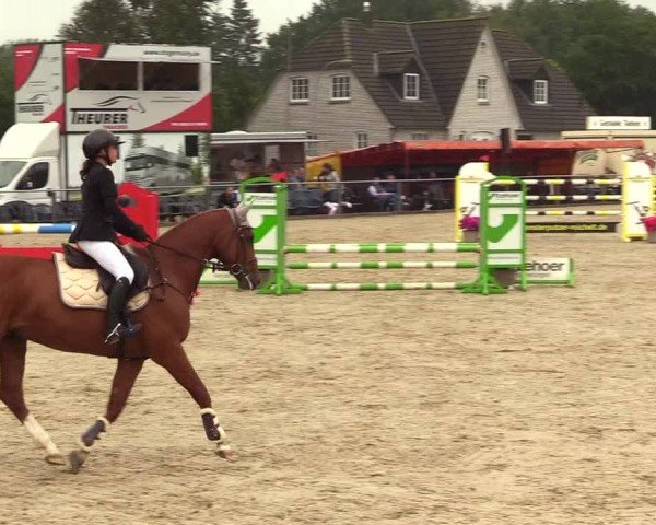 Reitturnier Behrendorf 2023