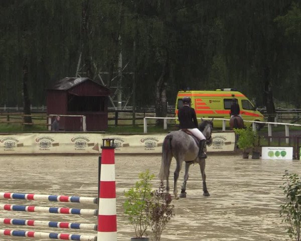 Reitturnier Vellinghausen 2023