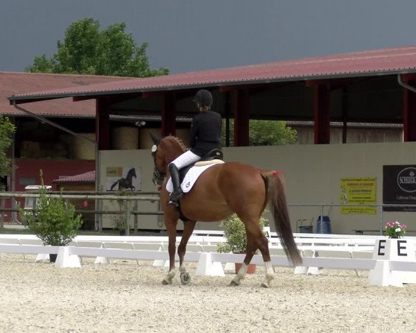 Reitturnier Dompierre 2023