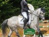 dressage horse Donna Nica (German Riding Pony, 2016, from Don Dolino)