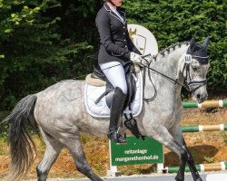 dressage horse Donna Nica (German Riding Pony, 2016, from Don Dolino)