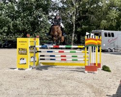 jumper Landlady 64 (Oldenburg show jumper, 2011, from Levisonn 208 FIN)