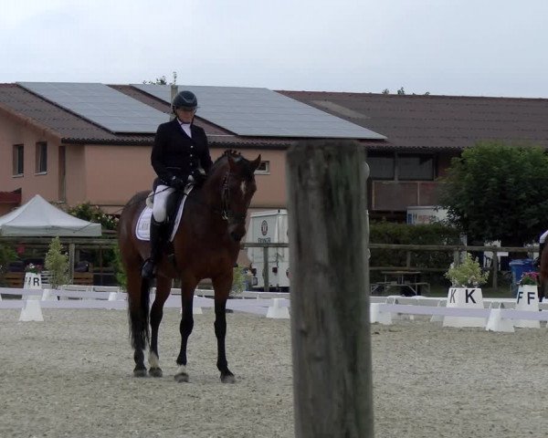 Reitturnier Dompierre 2023