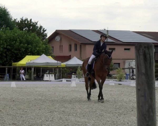 Reitturnier Dompierre 2023