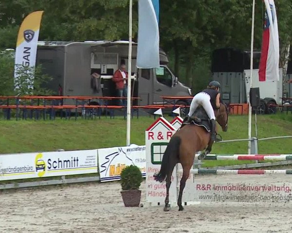 Reitturnier Grafenrheinfeld 2023