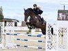 jumper Chica Bonita 14 (Oldenburg show jumper, 2015, from C-Ingmar)