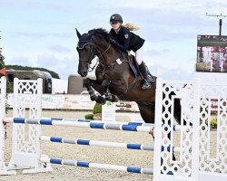 jumper Chica Bonita 14 (Oldenburg show jumper, 2015, from C-Ingmar)