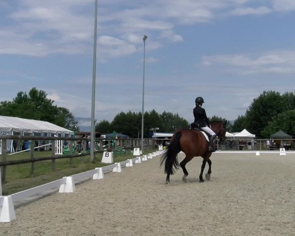 Reitturnier Dompierre 2023