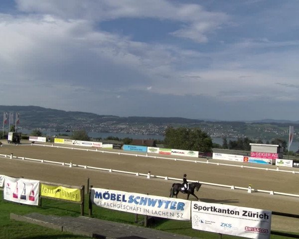 Reitturnier Wädenswil 2023