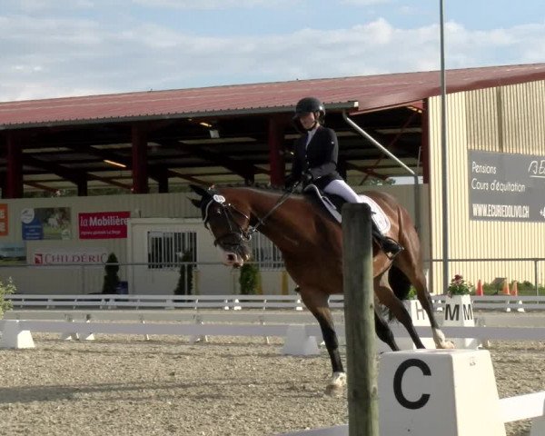 Reitturnier Dompierre 2023