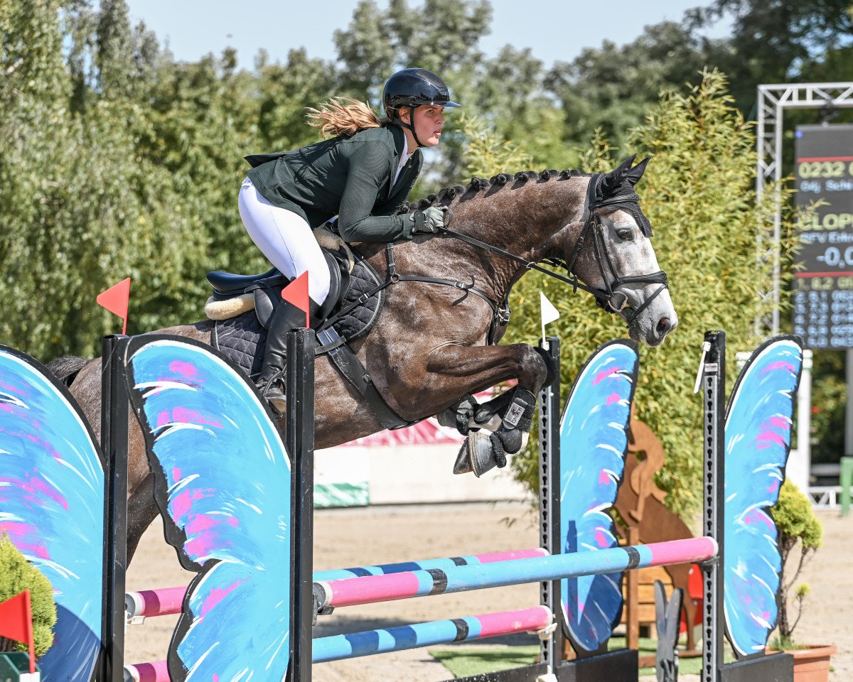 jumper Comme une fusée (Westphalian, 2019, from Comme le père)