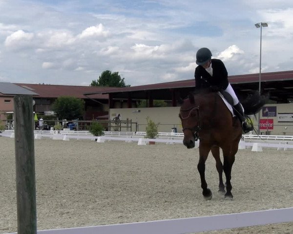 Reitturnier Dompierre 2023