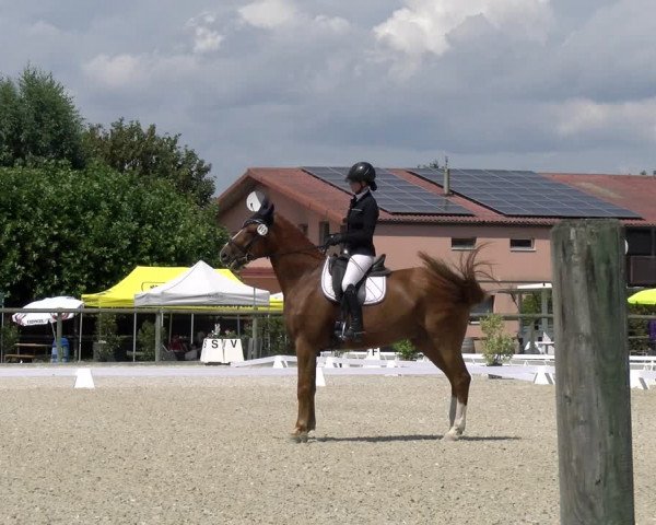 Reitturnier Dompierre 2023