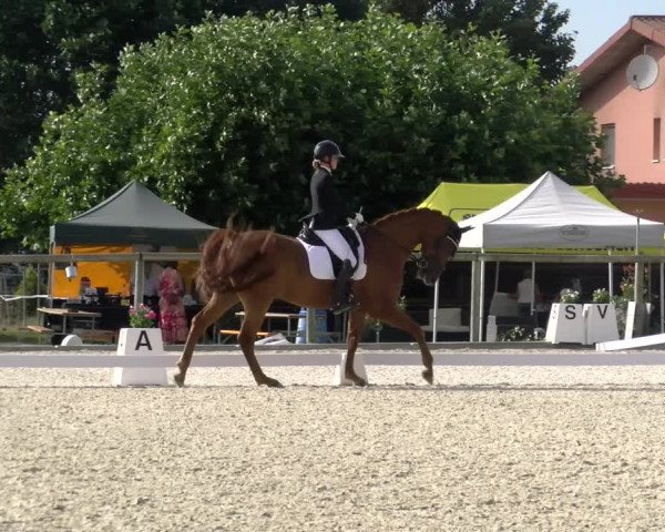 Reitturnier Dompierre 2023