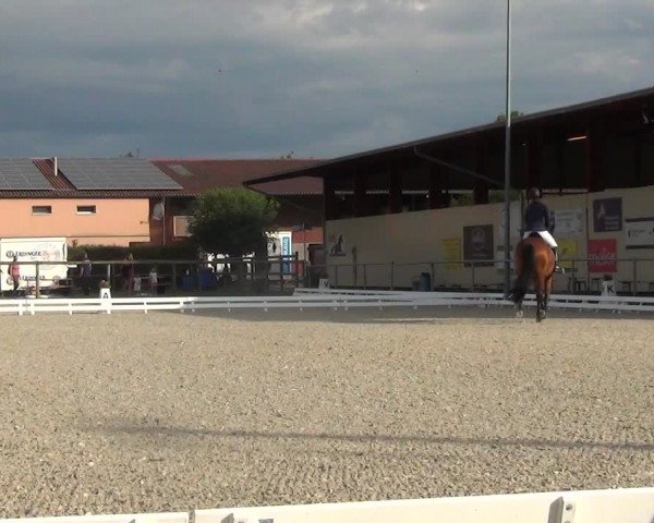 Reitturnier Dompierre 2023