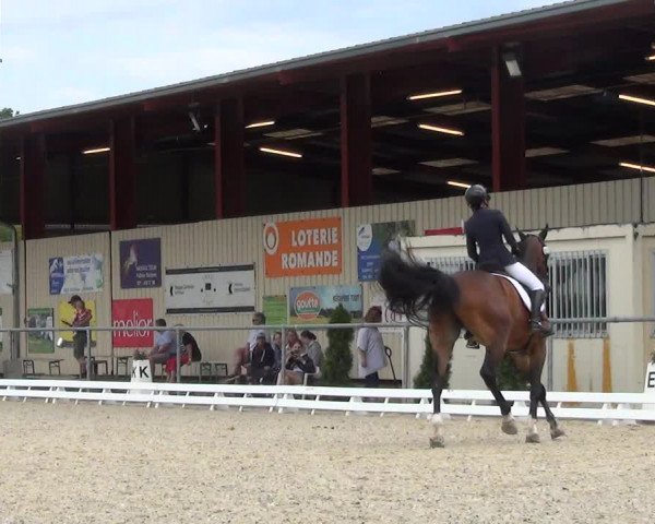 Reitturnier Dompierre 2023