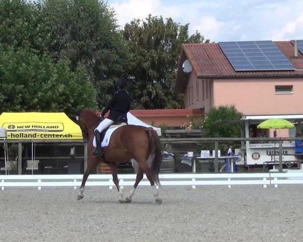 Reitturnier Dompierre 2023