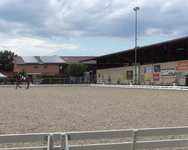 Reitturnier Dompierre 2023