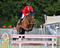 jumper E-Up (Oldenburg show jumper, 2012, from Eldorado vd Zeshoek Tn)