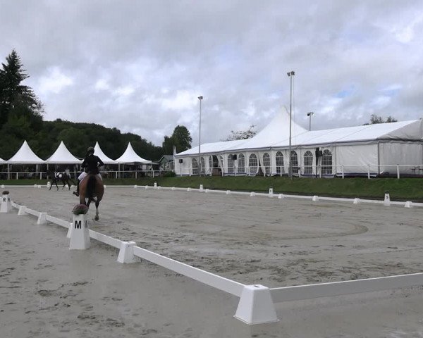 Reitturnier Bergisch Gladbach - Hebborner Hof 2023