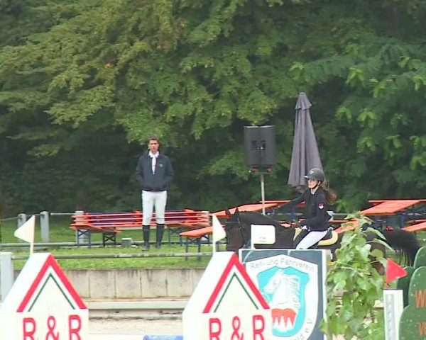 Reitturnier Grafenrheinfeld 2023