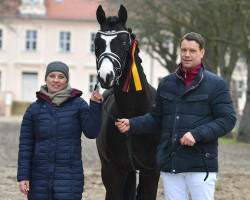 stallion Nighty Blue Magic MM (German Riding Pony, 2019, from FS No Doudt)