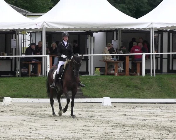 Reitturnier Bergisch Gladbach - Hebborner Hof 2023