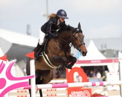 Springpferd Princess Blue Rose Z (Zangersheide Reitpferd, 2016, von Plot Blue)