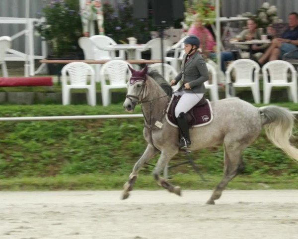 Reitturnier Oberderdingen 2023