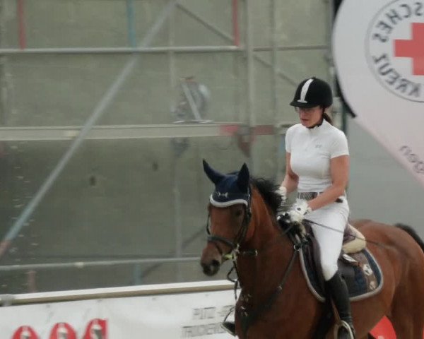 Reitturnier Oberderdingen 2023
