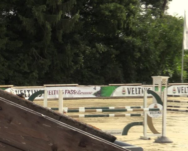 Reitturnier Vellinghausen 2023