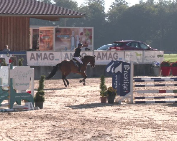 Reitturnier Ranshofen - Braunau am Inn 2023