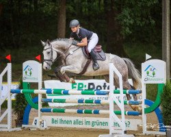 jumper Camelita 14 (Zangersheide riding horse, 2014, from Capriano)