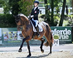 dressage horse Di Fürstin (Oldenburg, 2016, from Fürstenball)