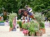 Springpferd Check Out S (Deutsches Sportpferd, 2016, von Champion 119)