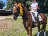 dressage horse Lord Von Der Steinegge (Hanoverian, 2019, from Londontime)