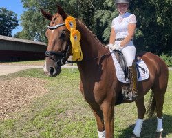 dressage horse Lord Von Der Steinegge (Hanoverian, 2019, from Londontime)