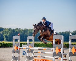 jumper Cheenuk (Deutsches Sportpferd, 2010, from Canturano I)