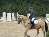 dressage horse A Hopeful Joy (German Riding Pony, 2017, from A kind of Magic 5)