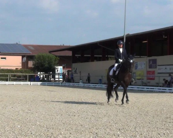 Reitturnier Dompierre 2023