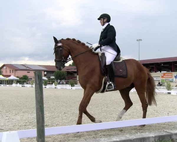 Reitturnier Dompierre 2023