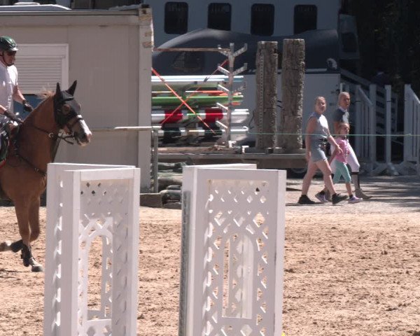 Reitturnier Ranshofen - Braunau am Inn 2023